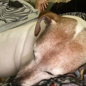 Meet your Posher, Tina